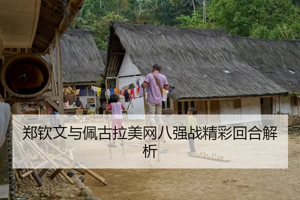 郑钦文与佩古拉美网八强战精彩回合解析